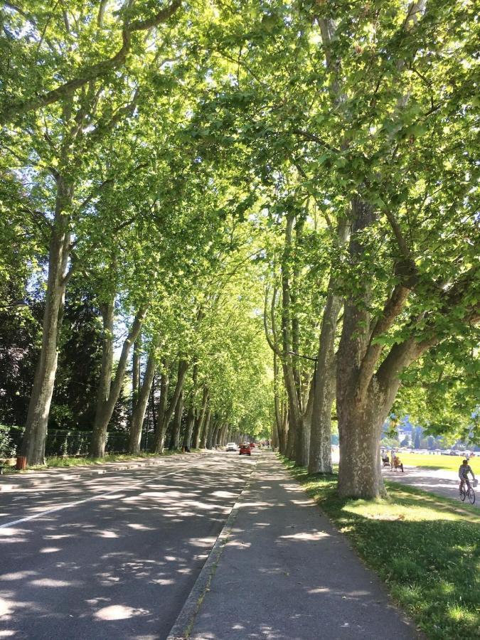 Annecy Center 2 Steps From The Lake Cozy And Renovated! Exteriér fotografie